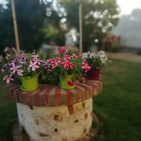 Feriehus Boleta A 5 Minutos De Leon, Casa Con Jardin