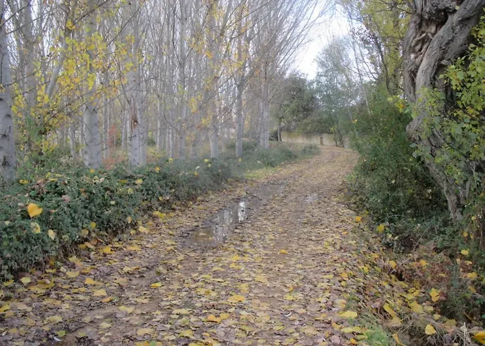 Boleta A 5 Minutos De Leon, Casa Con Jardin 펜션