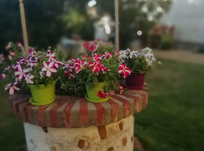 펜션 Boleta A 5 Minutos De Leon, Casa Con Jardin